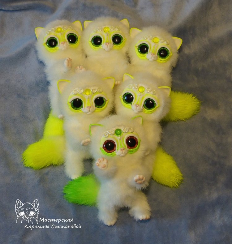 Коты Мирисы из Архива 2017 года (фото 2)