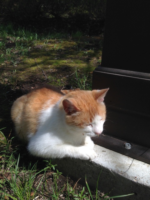 Как мы побывали в Некотором царстве ... с Mui-chan