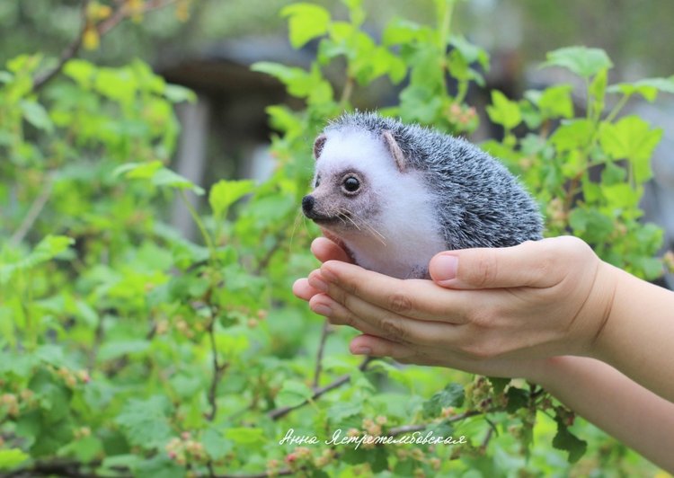 Ёжинька — Валяные игрушки из шерсти: сухое валяние (фото 4)