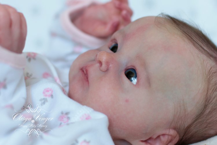 Тинк, мой любимый птенчик. Кукла реборн Венгер Олеси