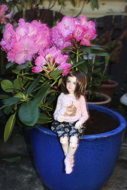 Вечерний сад. Розочка в пижамке (фото 7)