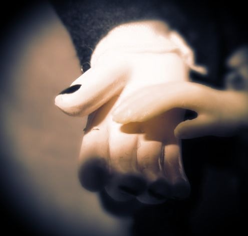 Забытый вальс алого и серого (фото 7)