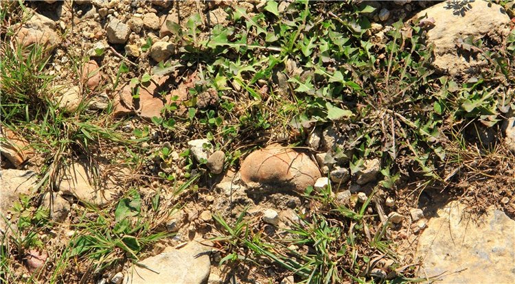 Старицкая Швейцария. Старицкие пещеры, д. Толпино, заключительная часть