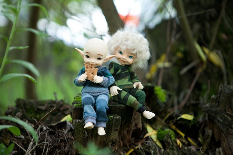 Знакомство с братьями эльфами 2 (фото 9)