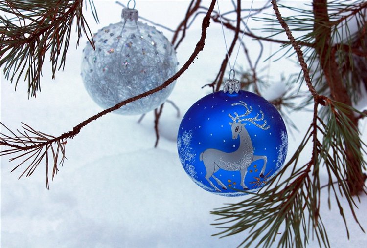 Рождественские гуляния, часть первая. Zwergnase Mischa (фото 8)