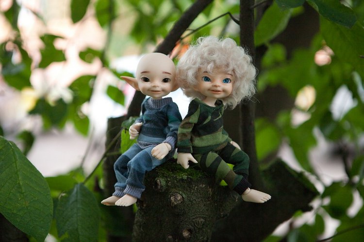 Знакомство с братьями эльфами 2 (фото 3)