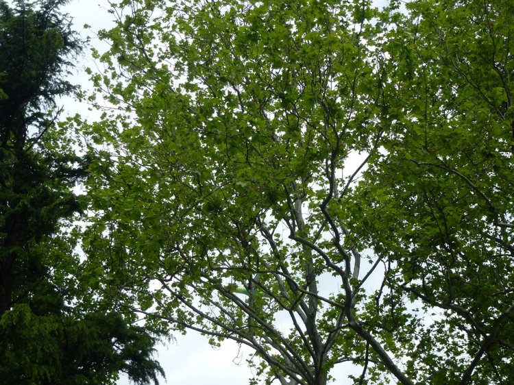 Сочи-Адлер: Южное Взморье - виртуальное путешествие по территории санатория