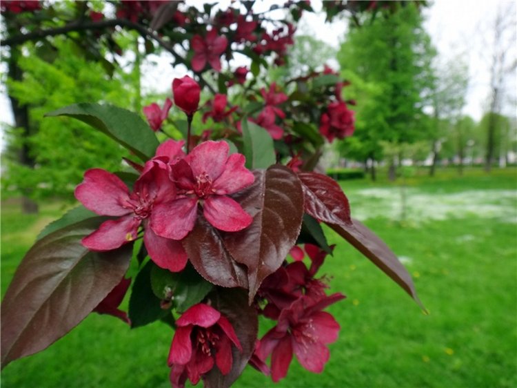 Милый мой город. Прогулка по Твери, заключительная часть