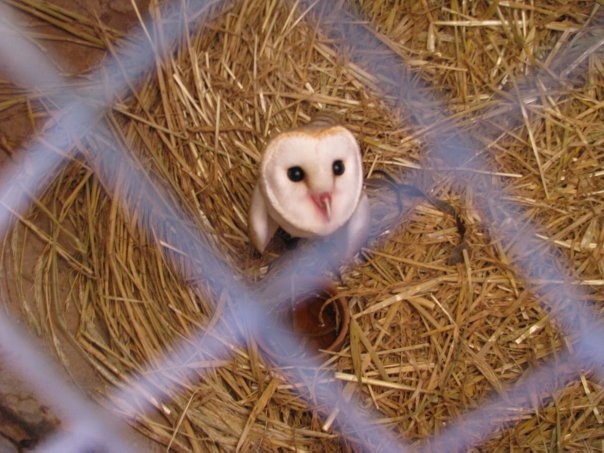 Путешествие на о. Кипр — Туризм и путешествия: фотоотчеты из поездок