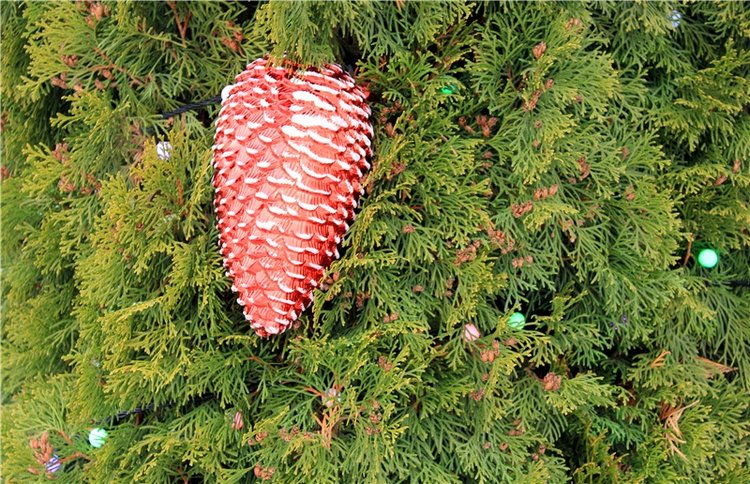 Рождественская Старица — Туризм и путешествия: фотоотчеты из поездок