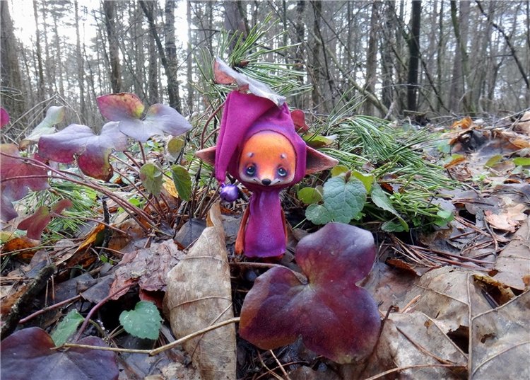 23 февраля - расцвели синие подснежники