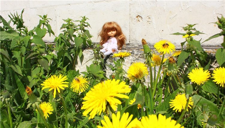 Путешествие Софи в Старицу, заключительная часть. Lati HoneyBee New Mystic Sophie