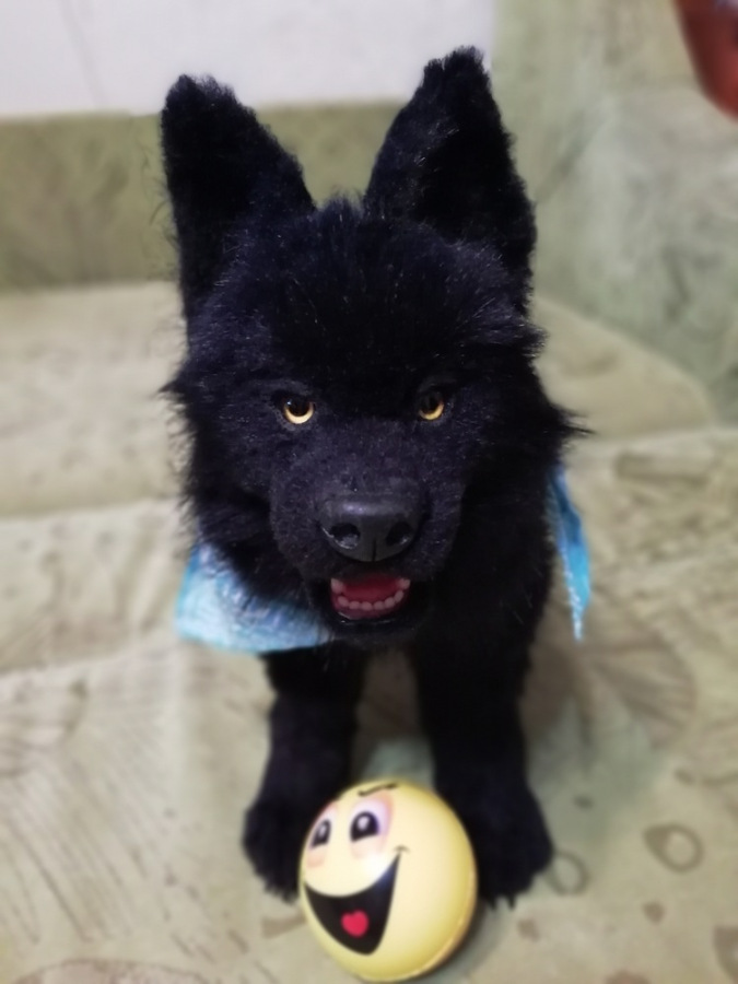 Мой домашний волчок — Домашние фото авторских игрушек: Тедди