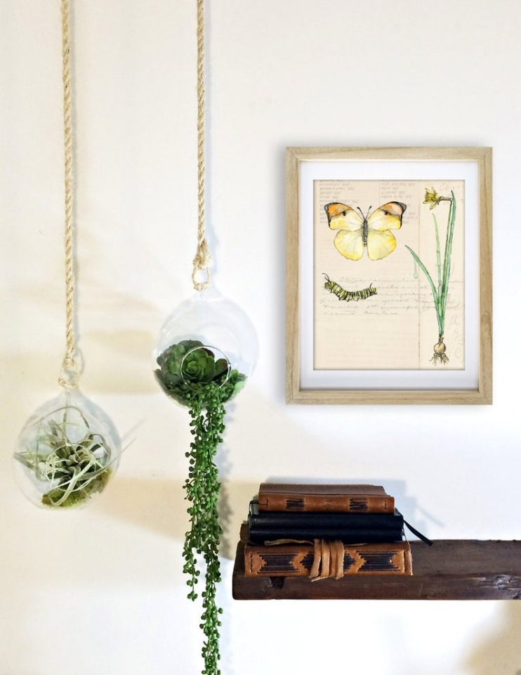 TheColorfulCatStudio - Иллюстрированная фауна by Rachel Byler