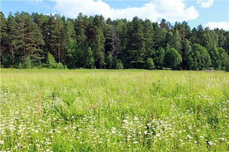 Путешествие Эли на красивый берег реки Волги