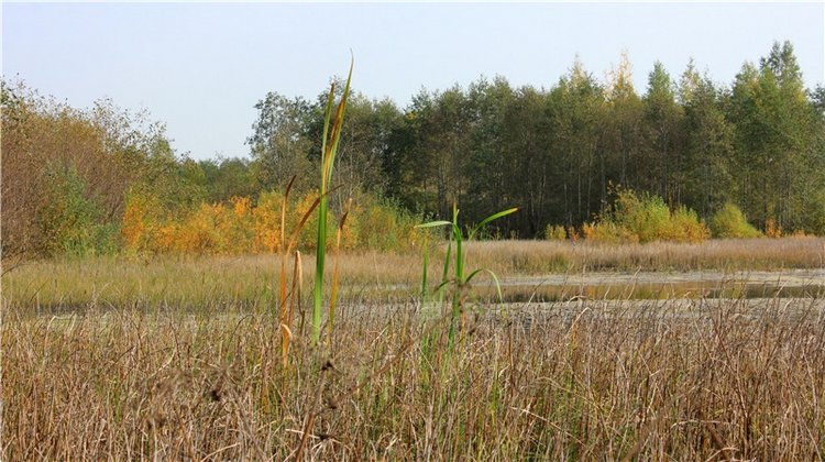 "Бабье Лето" на Водопаде, продолжение