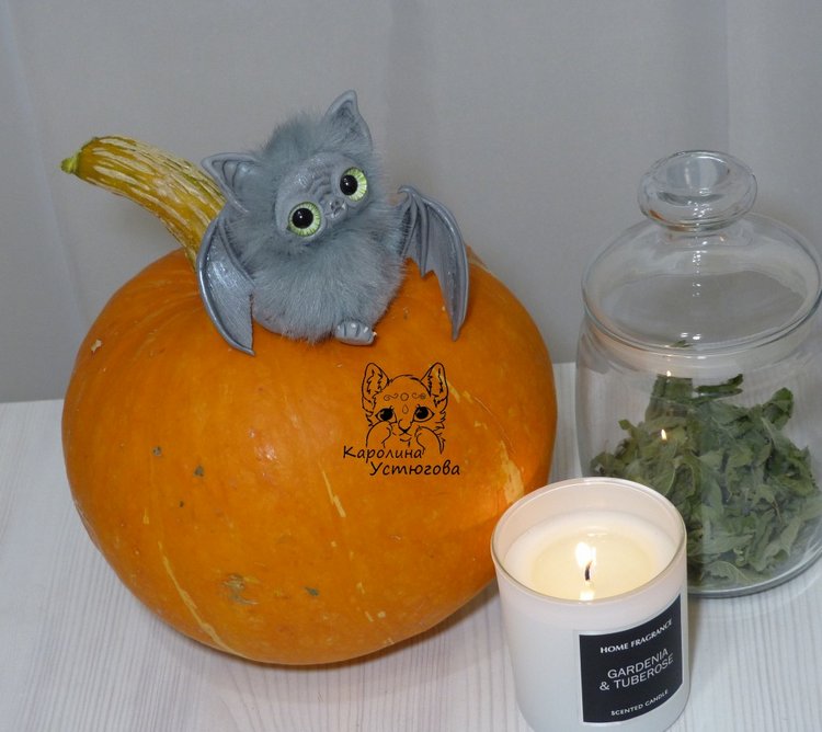 Летучие мышки летят на хеллоуин (фото 10)