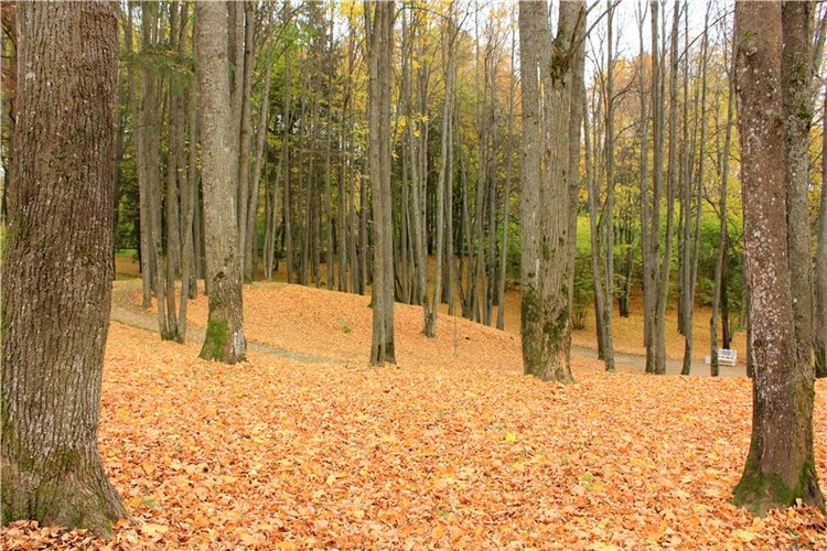 Золотая Осень в Берново с Имани. Mini Imani от Kaye Wiggs