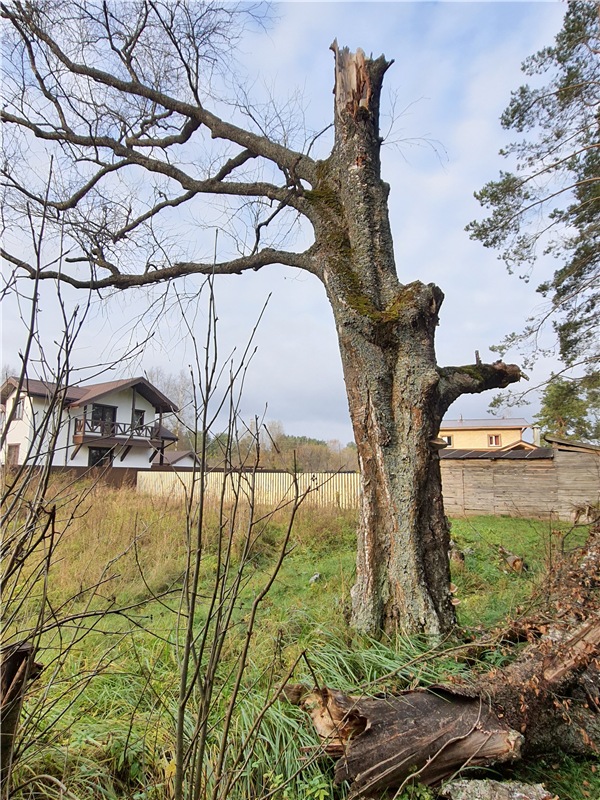 Путешествие по Святым местам Тверской области