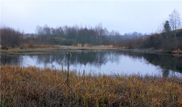 Туманный Ноябрь | Бэйбики Туманный Ноябрь — Куклы Latidoll (Лати): BJD (БЖД) (фото 3)