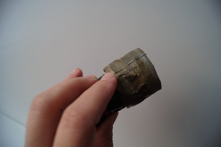 Субботняя выписка, уже вторая в этом году