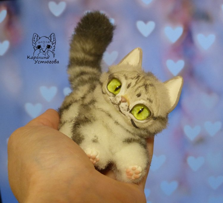Американские короткошерстные котята