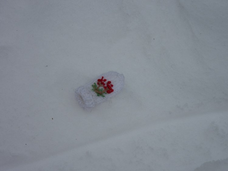 Запасаемся хворостом с Хеленой (фото 6)