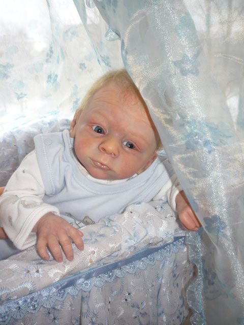 Мои малыши реборн | Бэйбики Мои малыши реборн — Куклы Реборн (Reborn): домашние фото (фото 6)