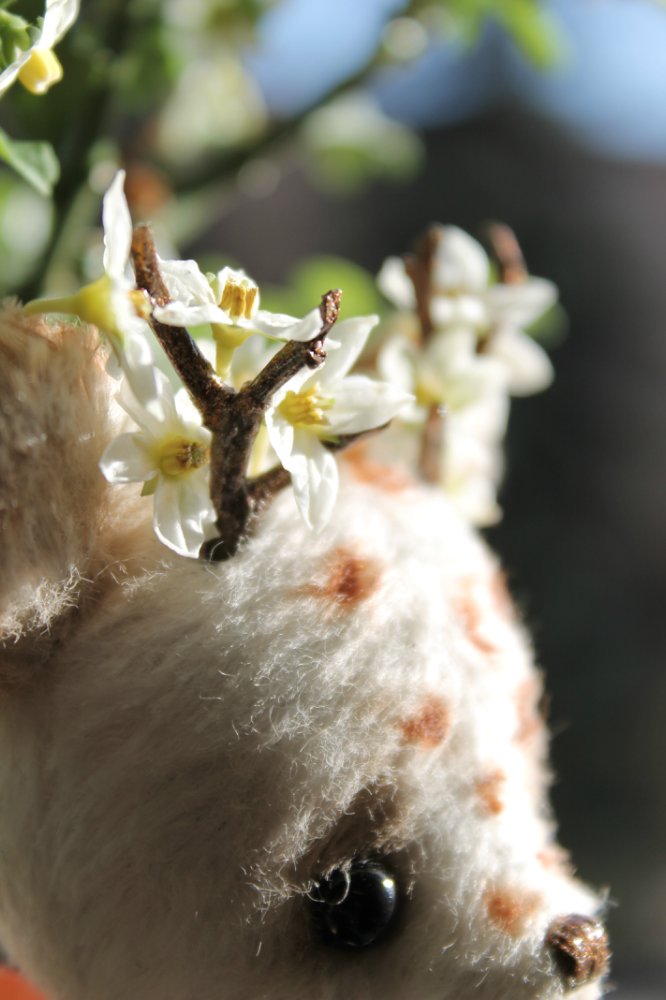 Жители моего дома — Авторские работы в частных коллекциях: домашние фото кукол и игрушек