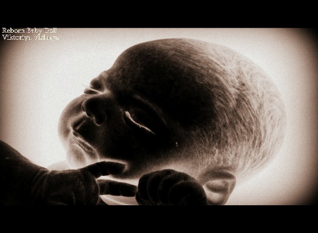 Лапуля Knox... Куколка реборн Виктории Вишни