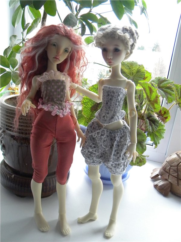 Теперь они вместе. Мои Лилликэтки Constantine и Ninon (фото 4)