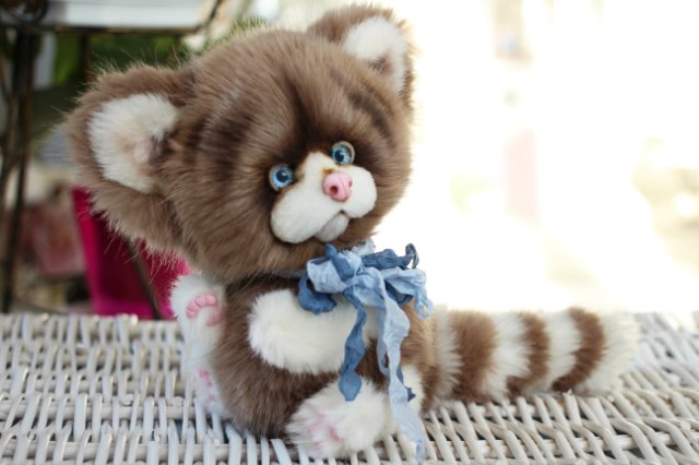 Голубоглазый котик-обормотик Мишка (фото 2)