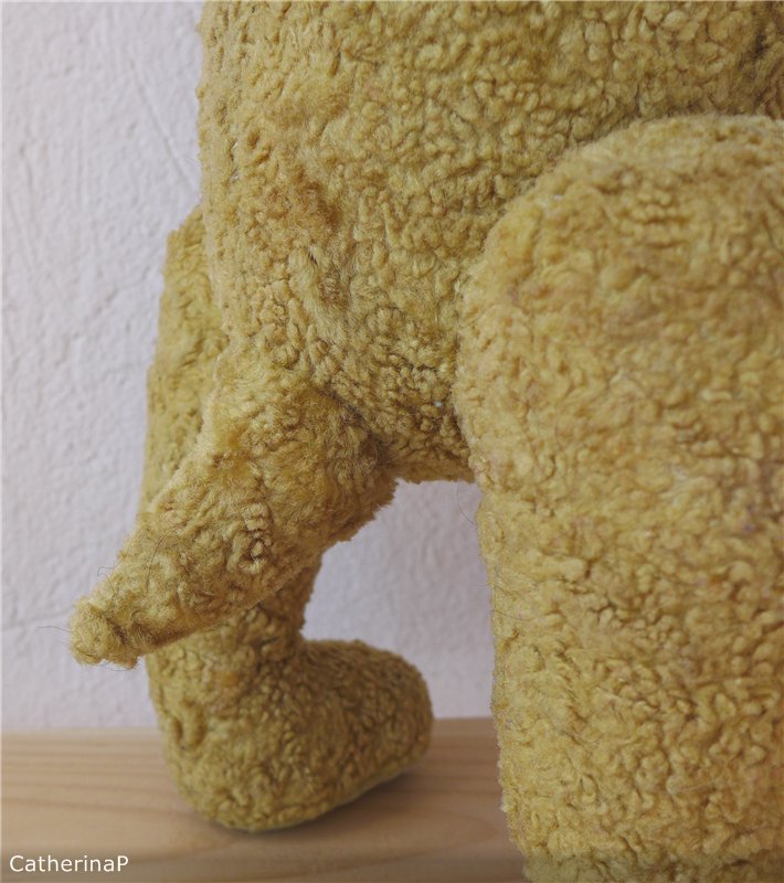 Рожденный ползать летать мечтает (фото 5)