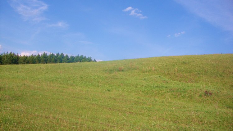 Ах, лето красное! Антикварная кукла Верочка