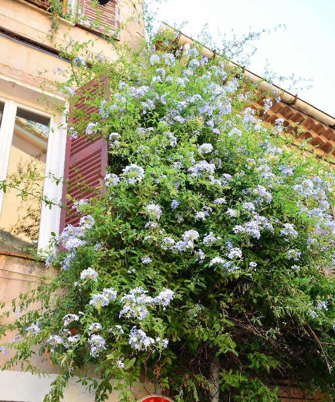 Ницца, Марсель, море и горы