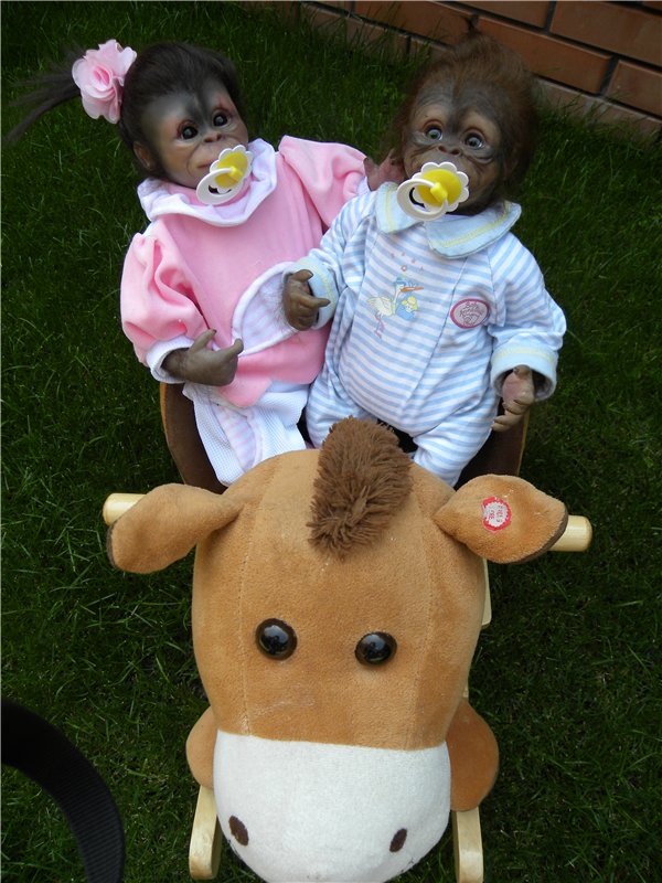 Необычное пополнение в моем доме