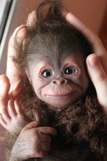 Обезьянка Bindi кукла реборн Элины Кудрявцевой