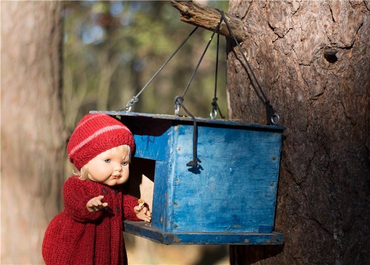 Прогулка в осень... или в гостях у белочек (фото 7)