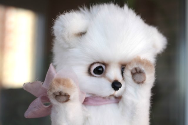 Арктический Лисенок Иэн — Авторские мишки Тедди и друзья: фото (фото 3)