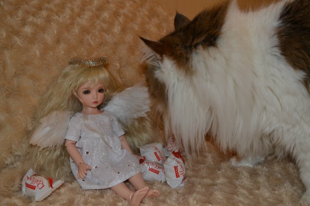 Крылья ангела — Куклы Iplehouse (Иплхаус): BJD (БЖД)