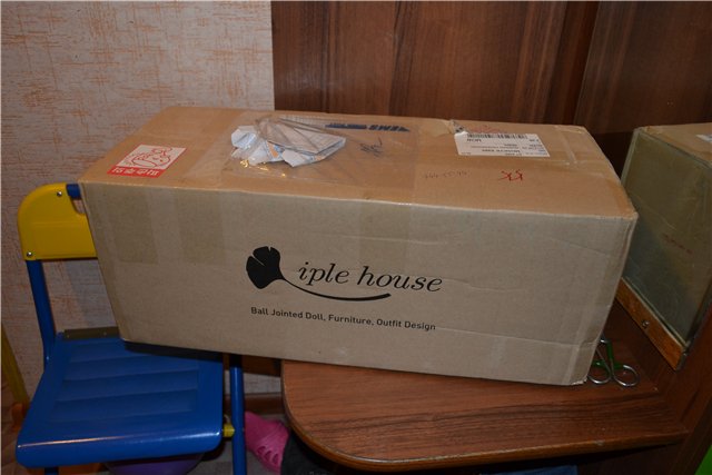 Таня от Iplehouse