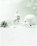 Закрыто. Совместная закупка фонов для фотографирования кукол (фото 8)