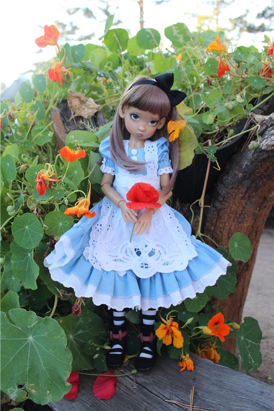 Куклы Kaye Wiggs, все те, что были у меня