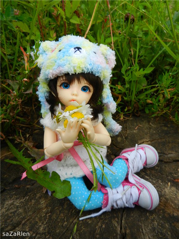 Варвара путешевственница (Литтлфи Анте)