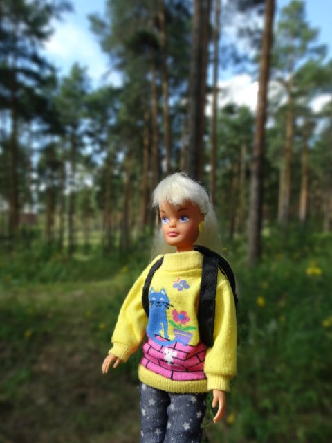 Девочки гуляют — Куклы Sindy (Синди) и Tammy (Тамми): винтаж