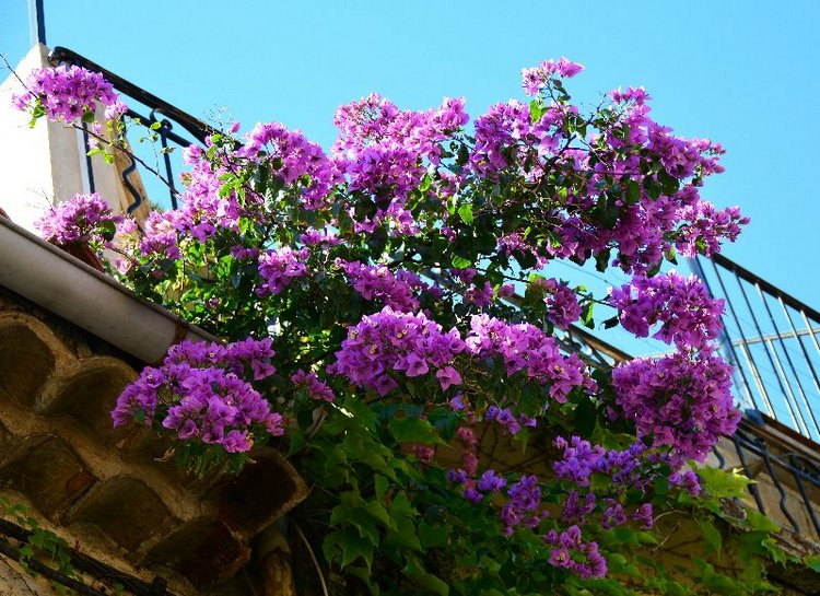 Ницца, Марсель, море и горы