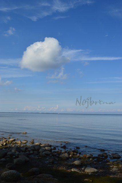 Питер - самый лучший город на земле! Вихтель Rosemarie Anna Muller