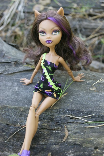 Как Лиу и Клодин за грибами ездили