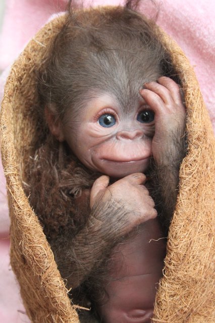 Обезьянка Bindi кукла реборн Элины Кудрявцевой