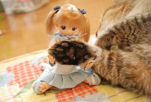 Мои любимые фото куколок mamachapp